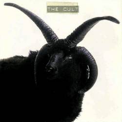 The Cult : The Cult